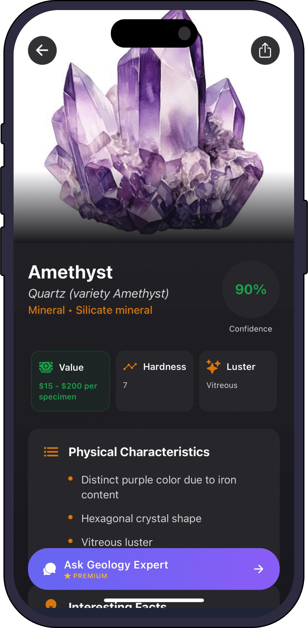 Rock Identifier GeoLens result: Amethyst at 90% confidence